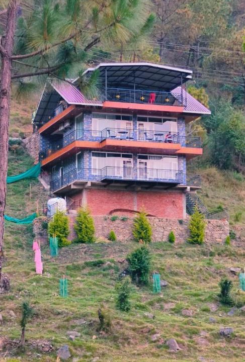 Photo of Others in Kasauli