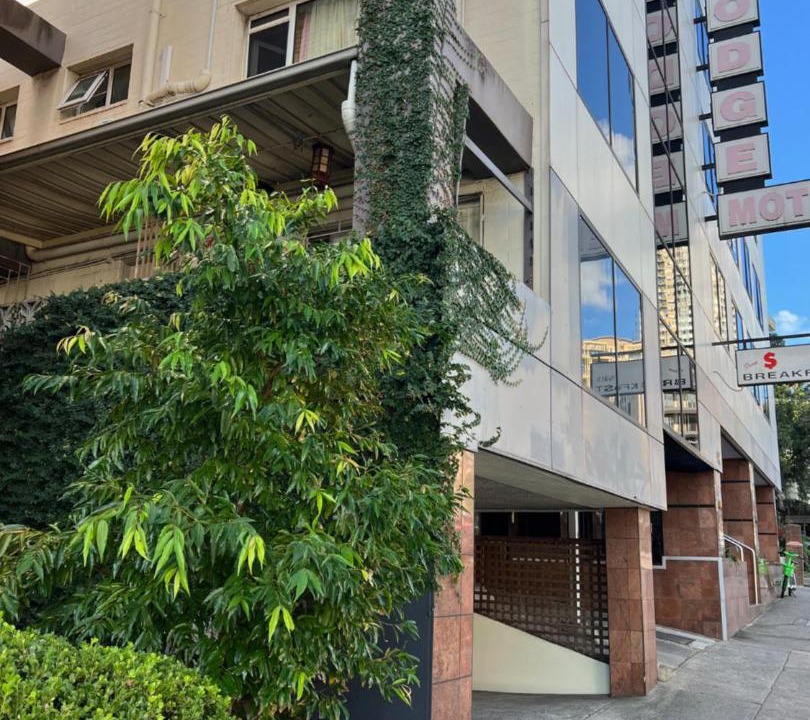 Photo of Others in Edgecliff