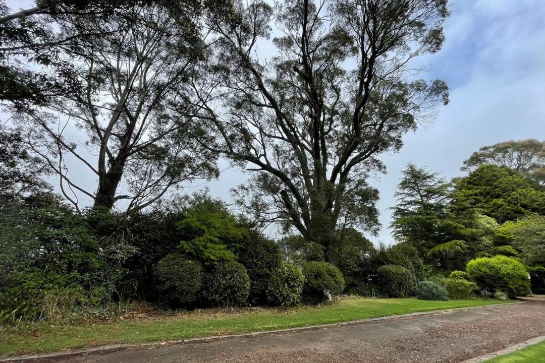 Photo of Others in Burrawang
