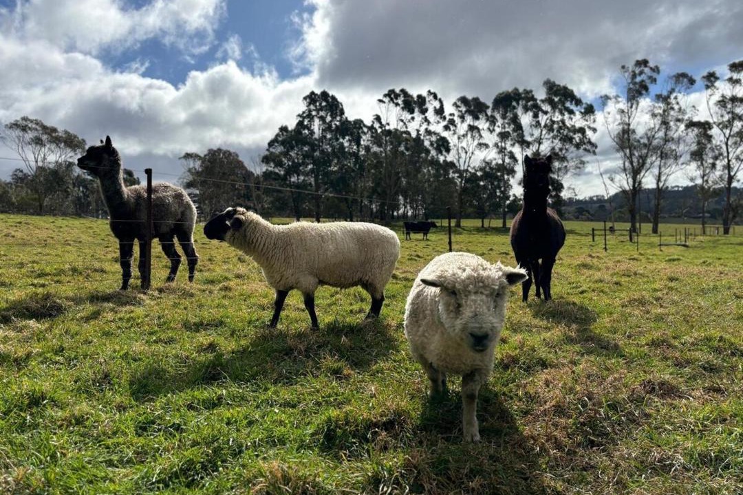 Photo of Others in Burrawang