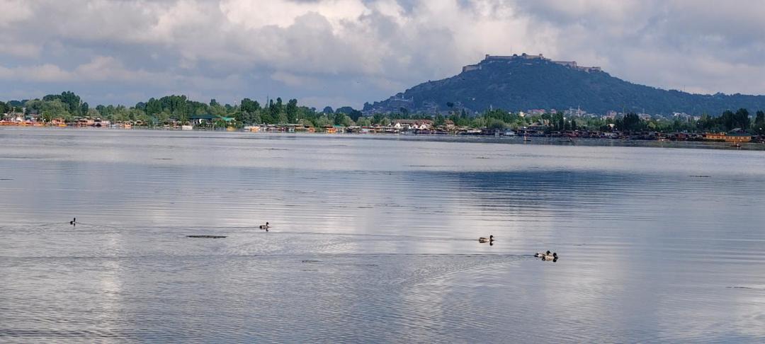 Photo of Others in Dal Lake
