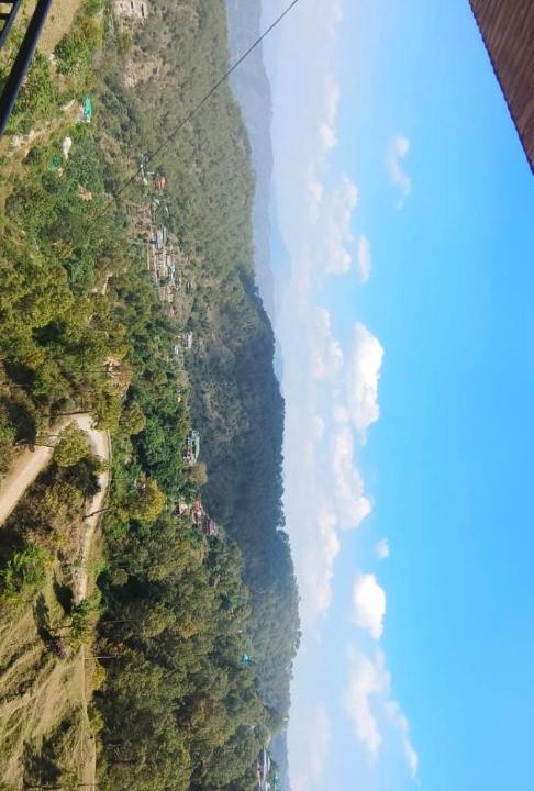 Photo of Others in Kasauli