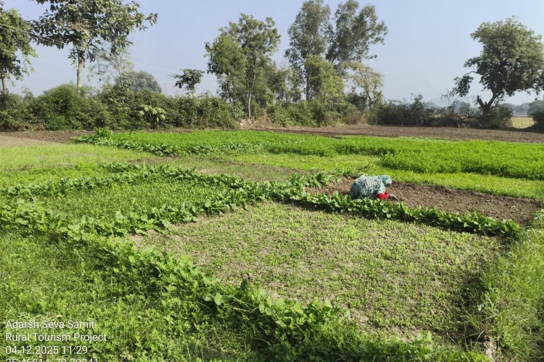 Photo of Others in Jhansi
