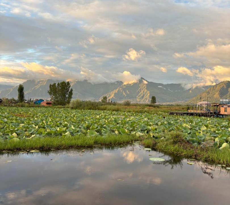 Photo of Others in Dal Lake