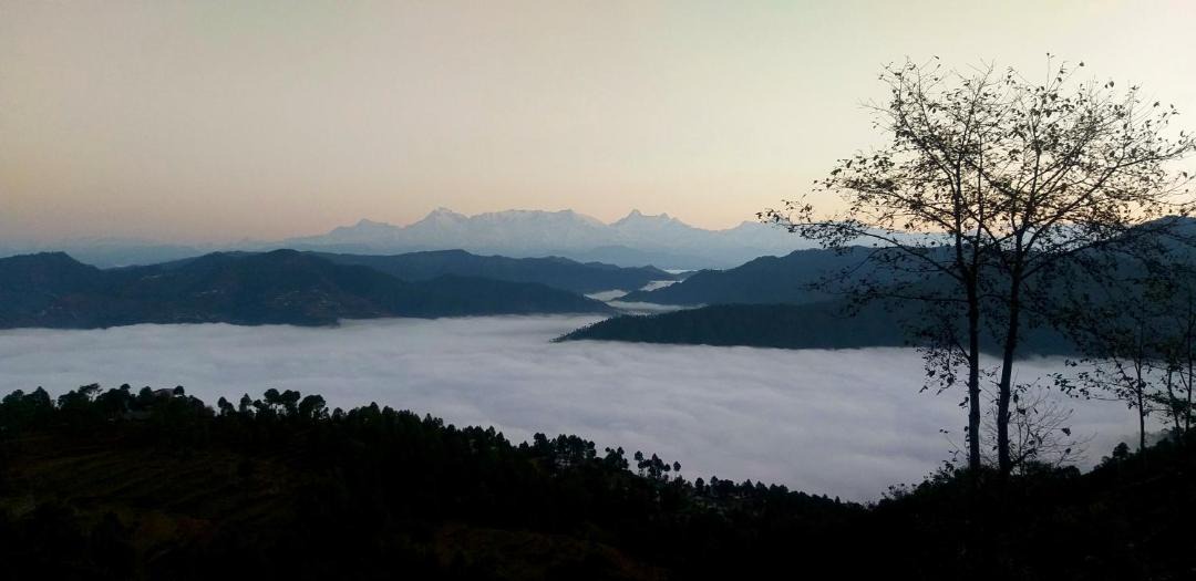 Photo of Others in Almora
