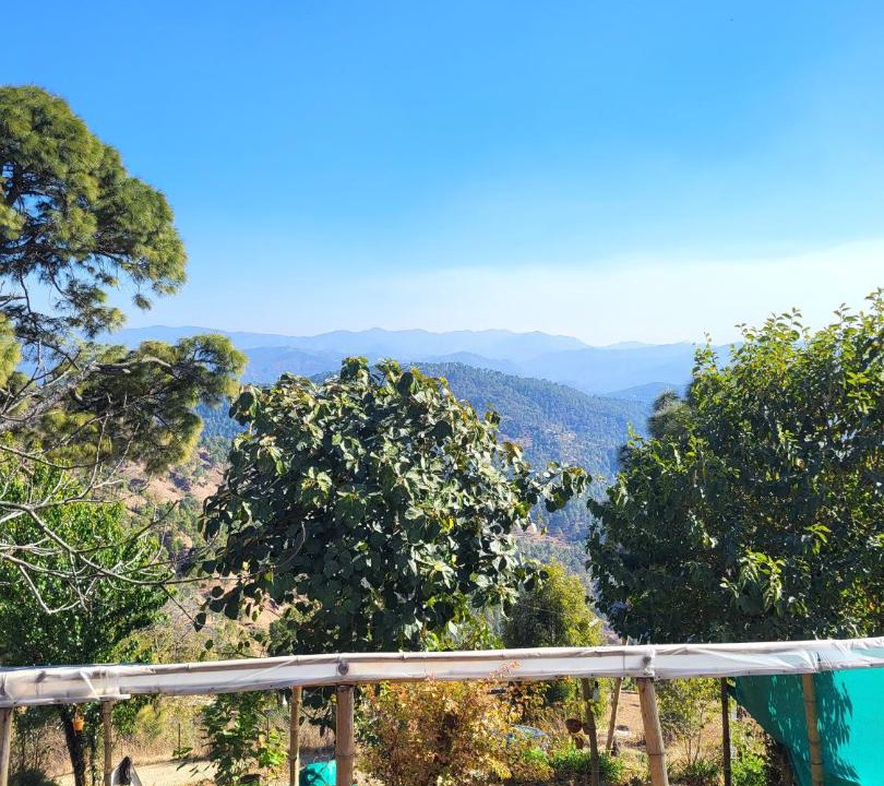 Photo of Others in Almora