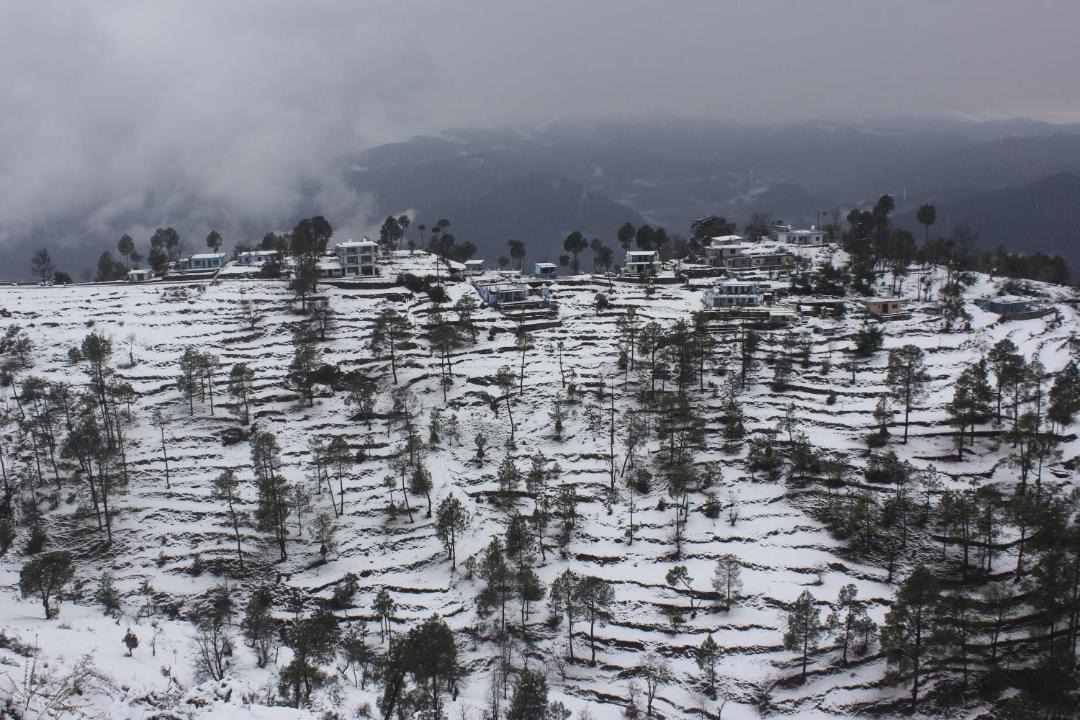 Photo of Others in Almora