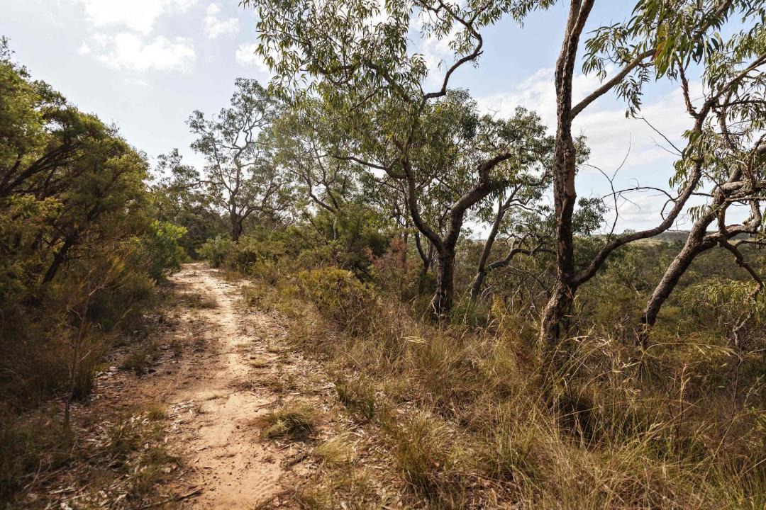 Photo of Others in Maroota