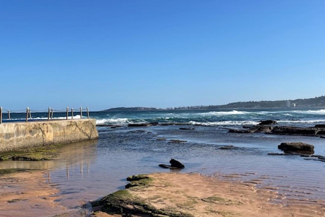 Photo of Others in Narrabeen