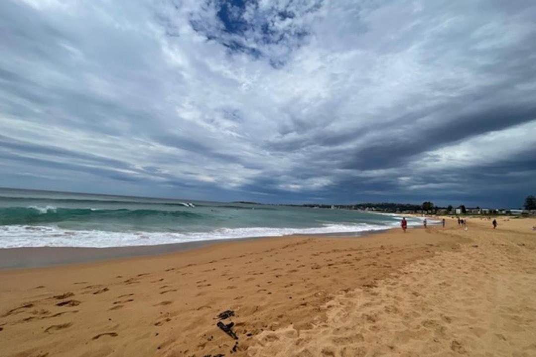 Photo of Others in Narrabeen