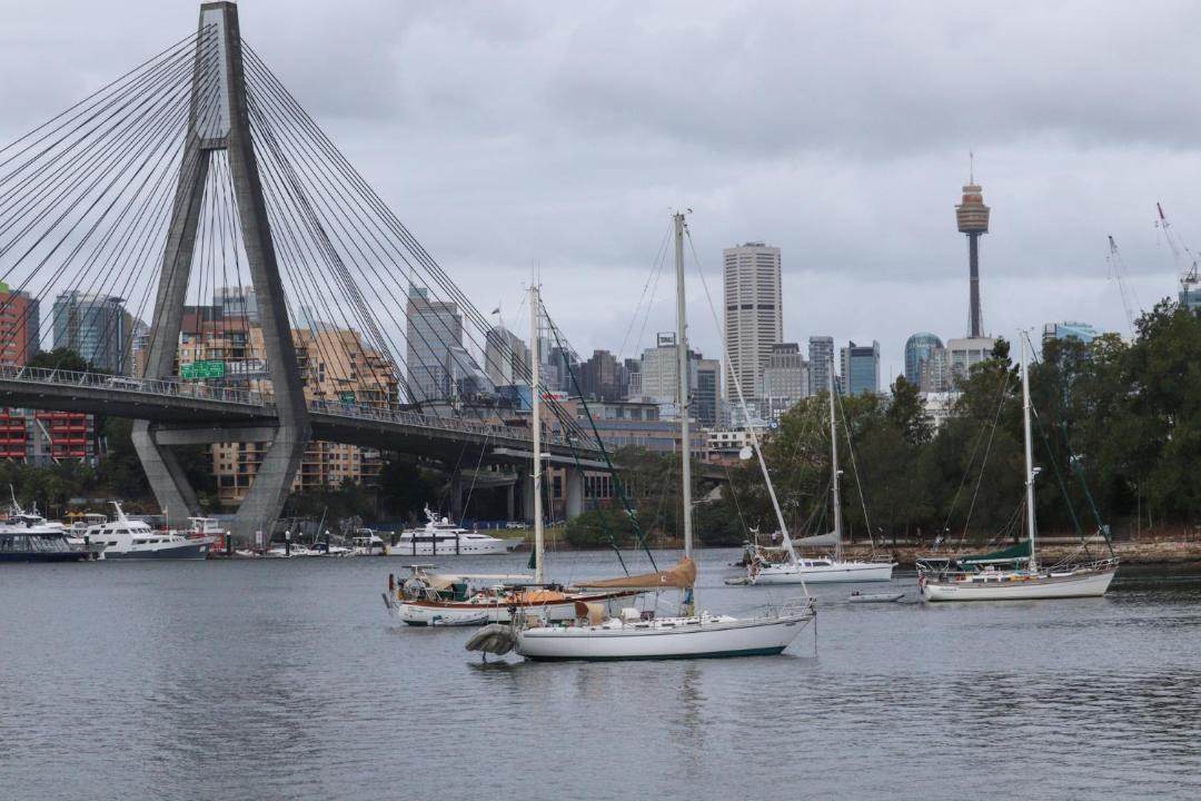 Photo of Others in Glebe