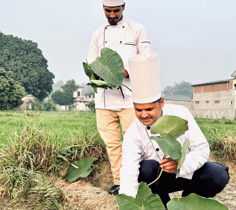 Photo of Others in Haldwani