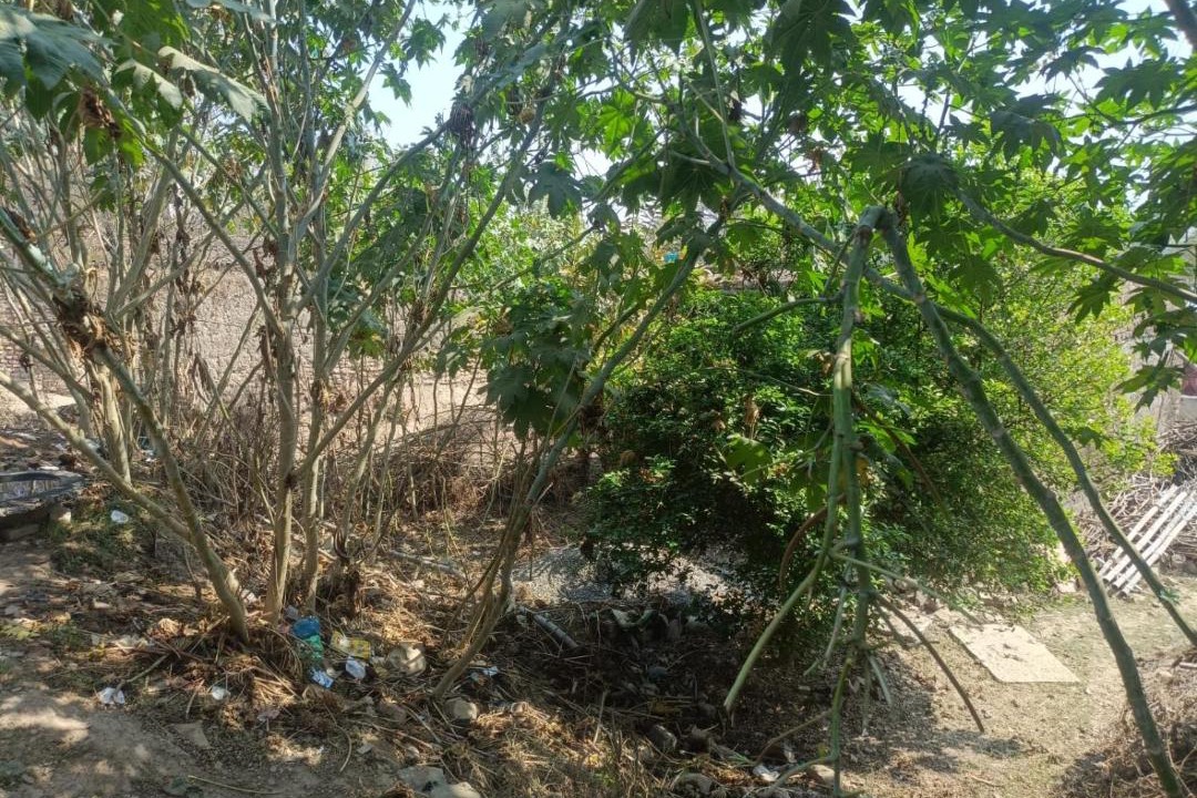 Photo of Others in Mau