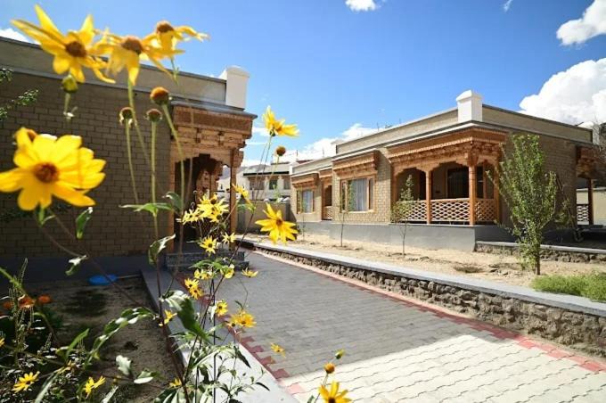 Photo of Others in Leh