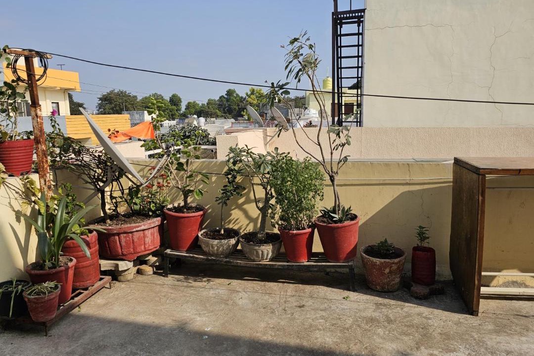 Photo of Others in Bhopal
