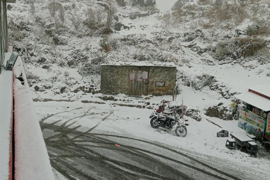 Photo of Others in Dhanaulti