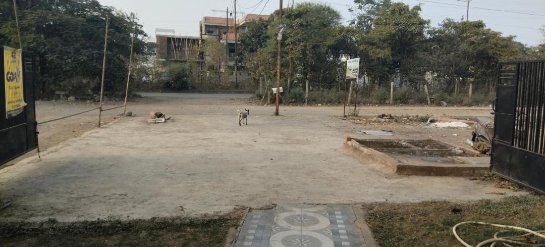 Photo of Others in Ujjain