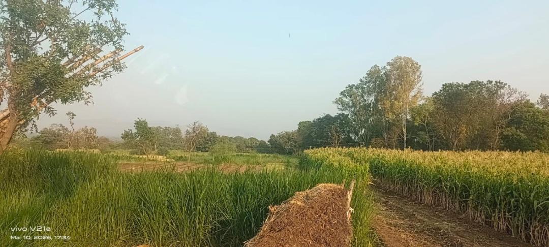 Photo of Others in Wai