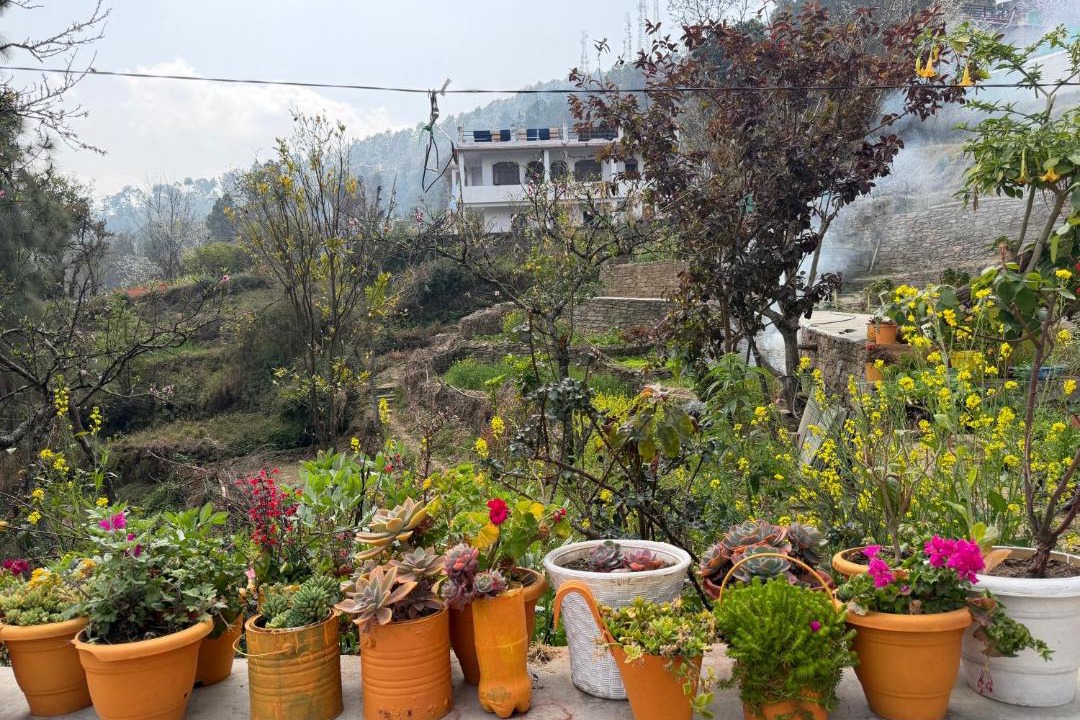 Photo of Others in Almora