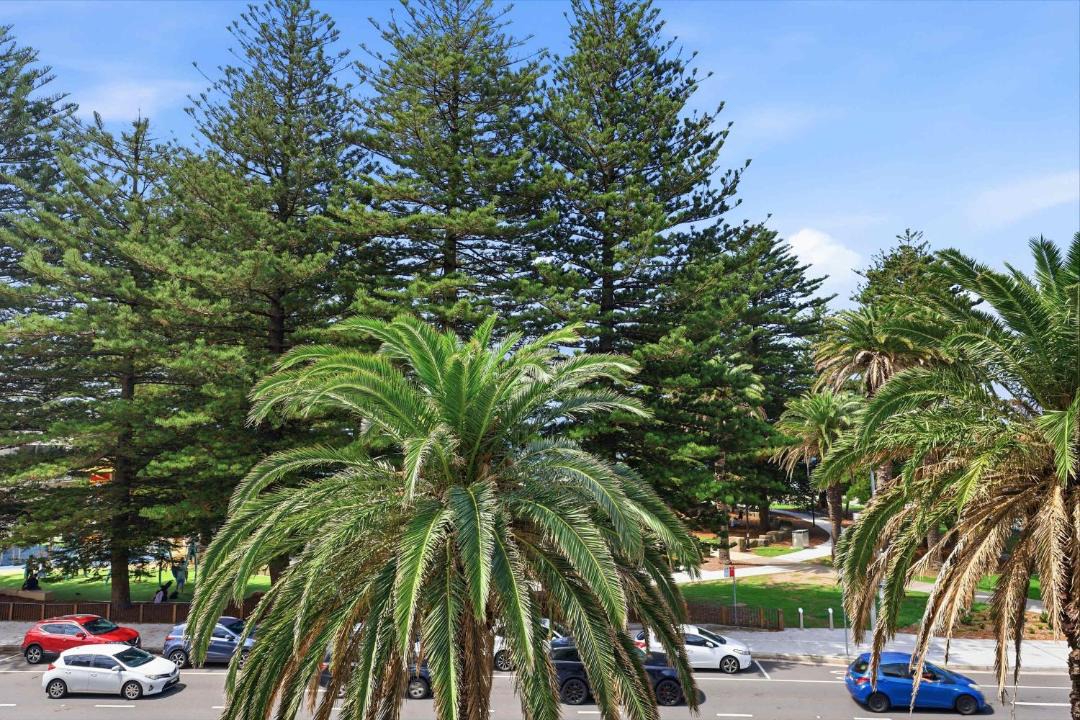 Photo of Others in Cronulla