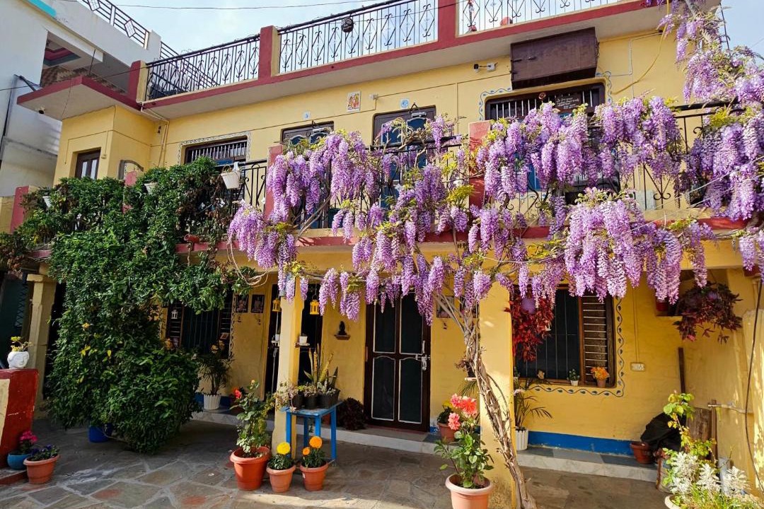 Photo of Others in Ranikhet
