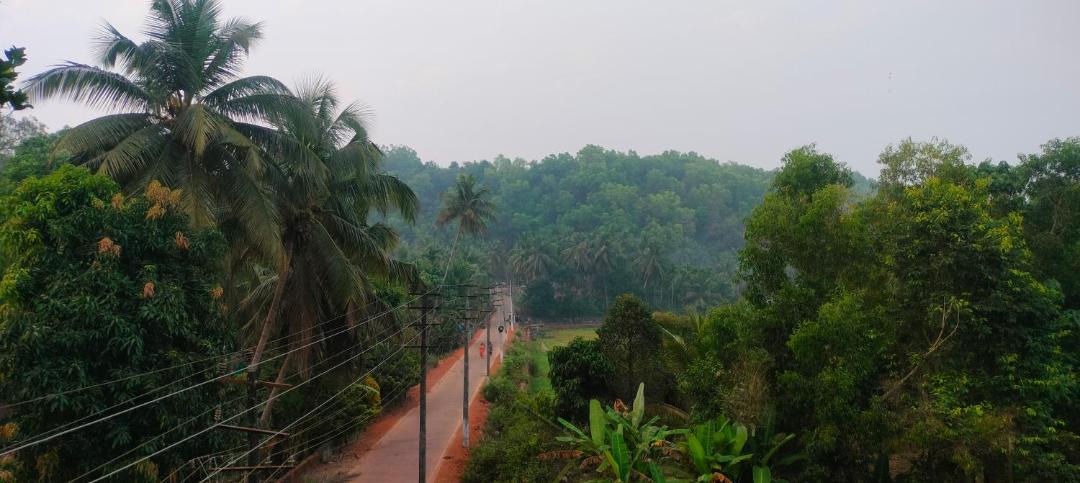 Photo of Others in Honavar