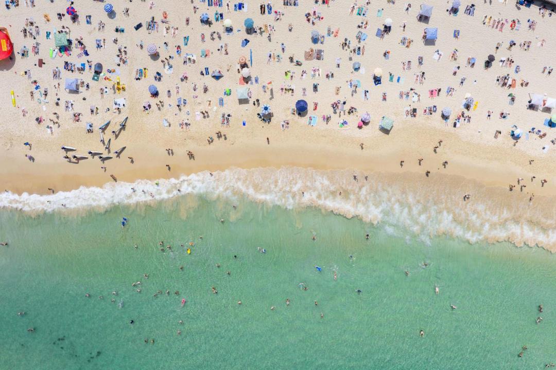 Photo of Others in North Bondi