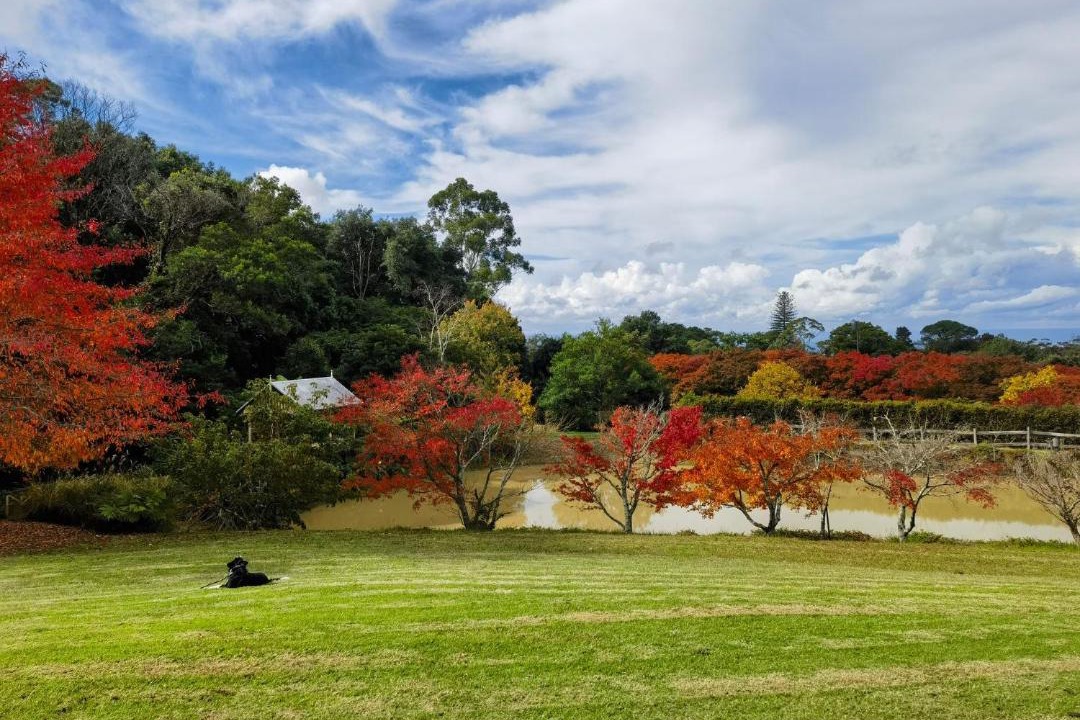 Photo of Others in Kurrajong Heights