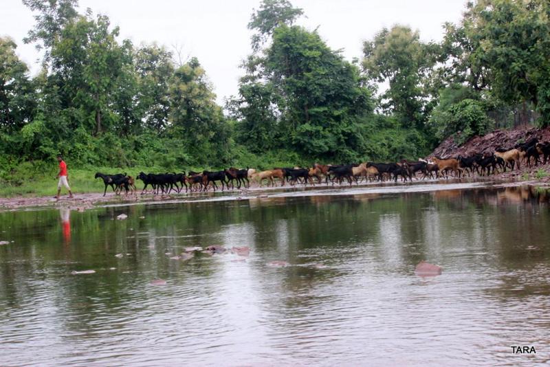 Photo of Others in Pandharkawada