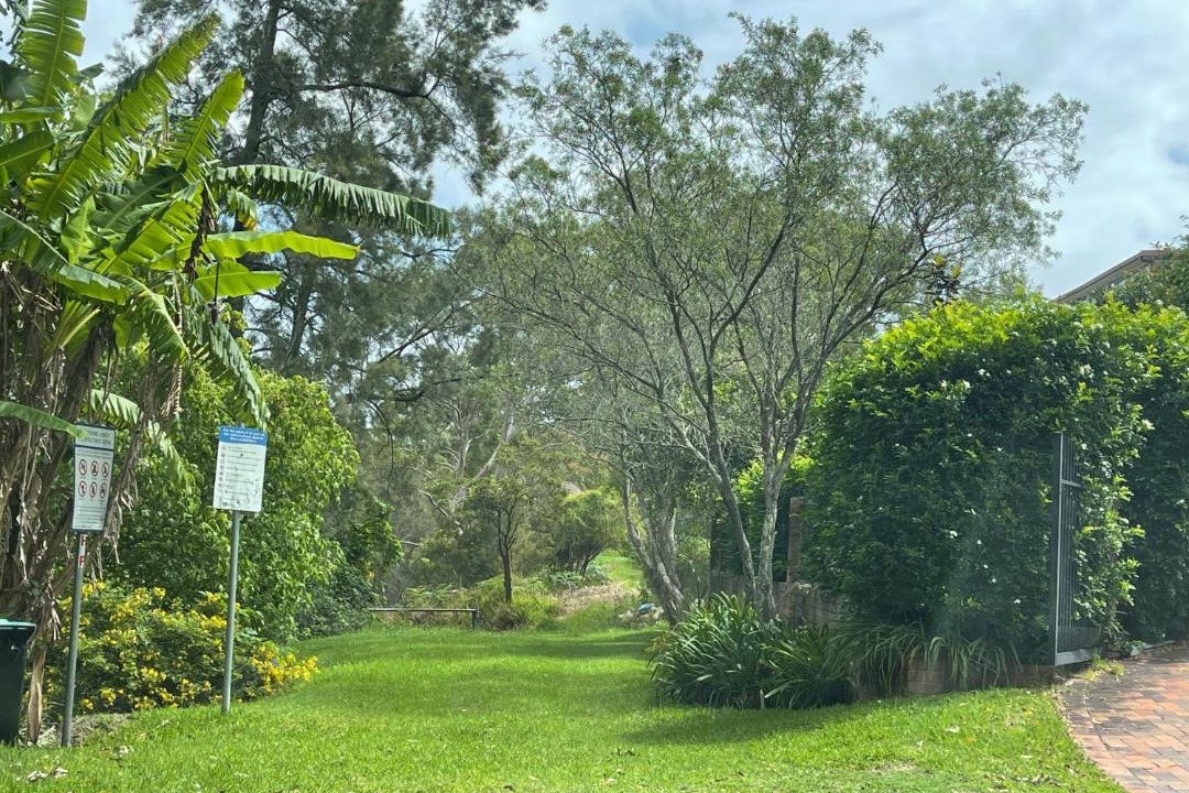 Photo of Others in Forestville