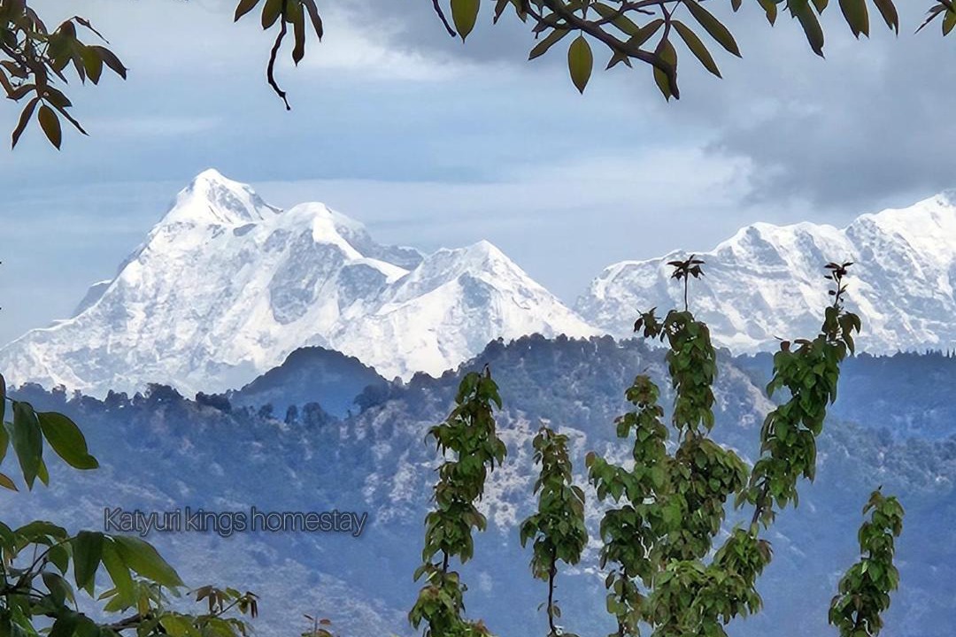 Photo of Others in Ranikhet