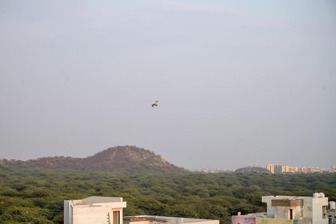 Photo of Others in Malviya Nagar