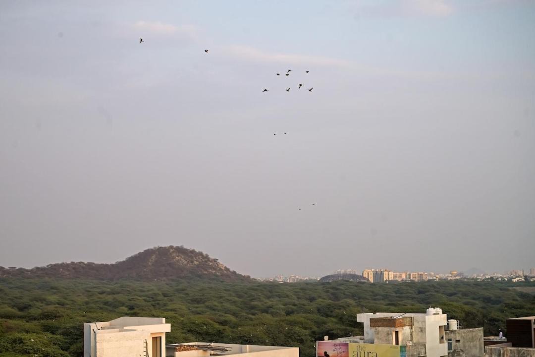 Photo of Others in Malviya Nagar