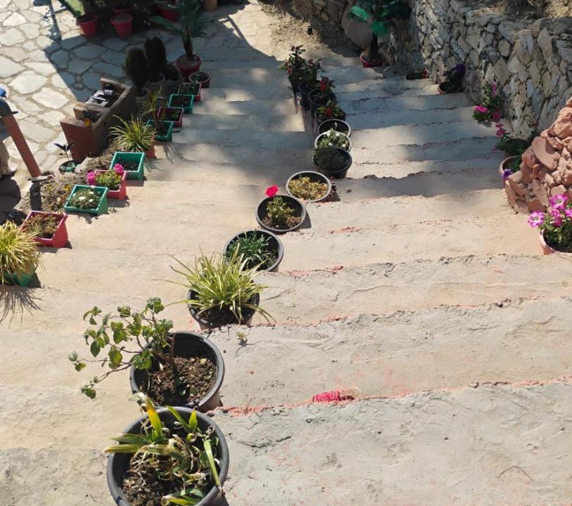 Photo of Others in Pauri