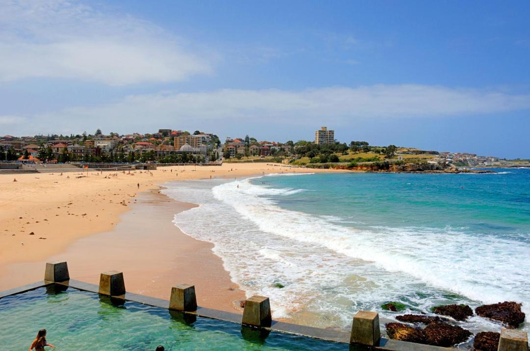 Photo of Others in Coogee