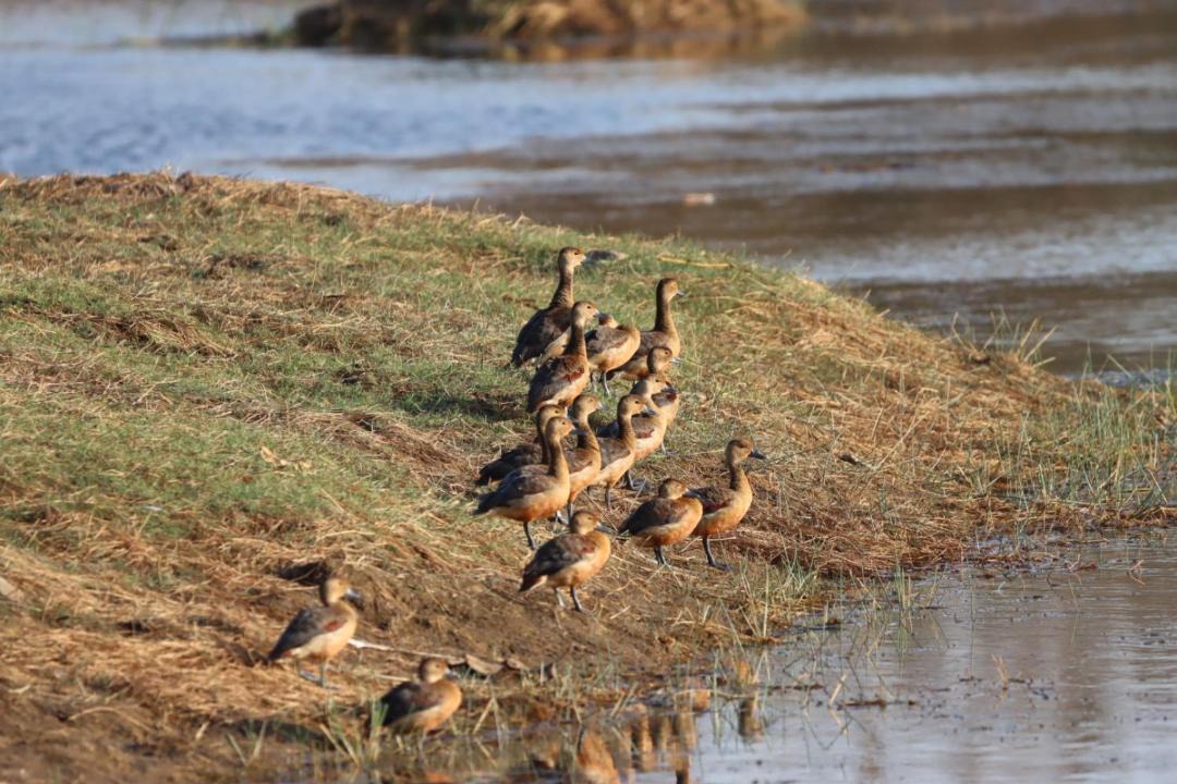 Photo of Others in Chimur