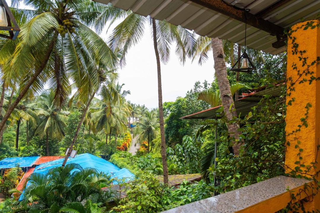 Photo of Others in Agonda