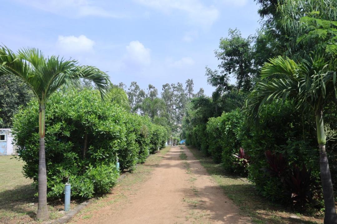 Photo of Others in Kamalapur