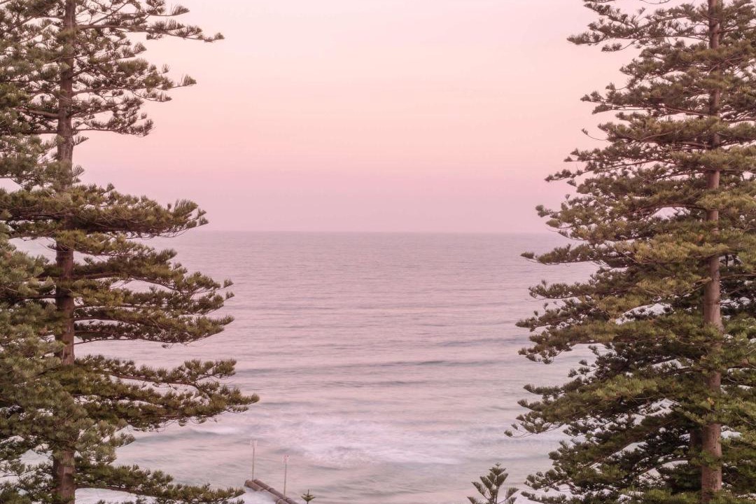 Photo of Others in Manly