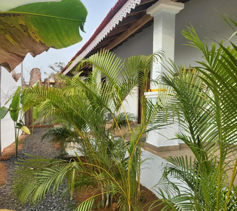 Photo of Others in Arambol