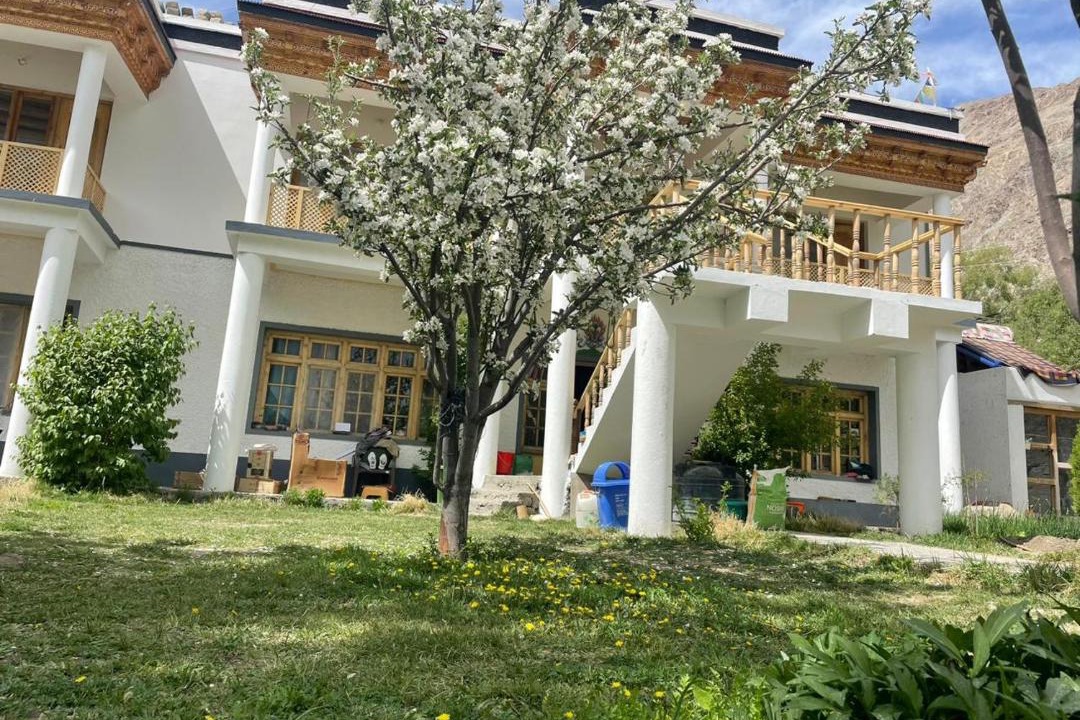 Photo of Others in Hundur