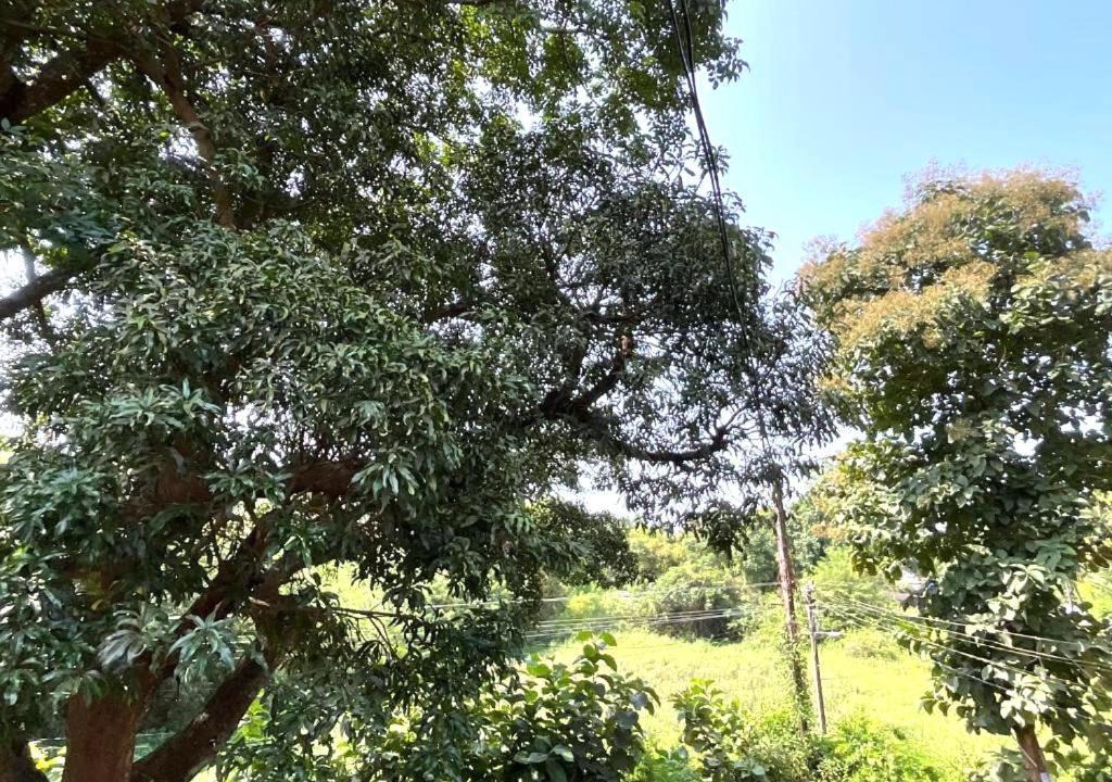 Photo of Others in Palolem