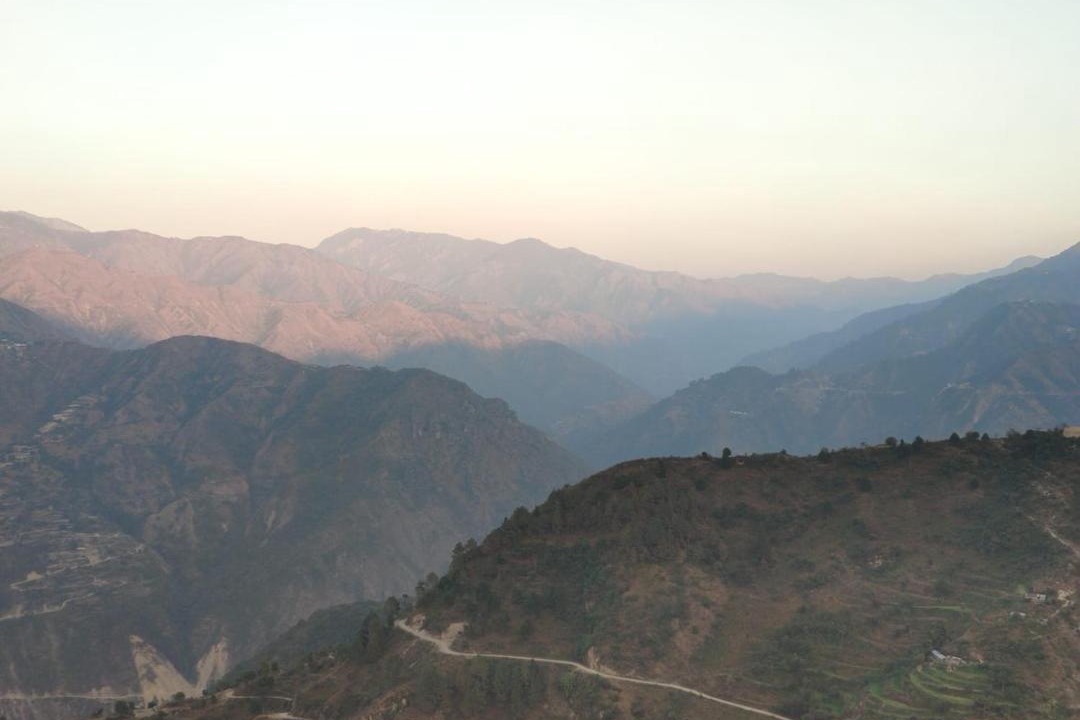 Photo of Others in Bhediyana
