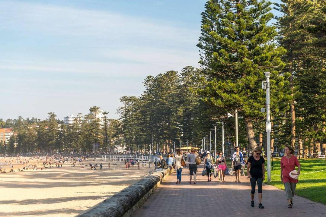 Photo of Others in Manly