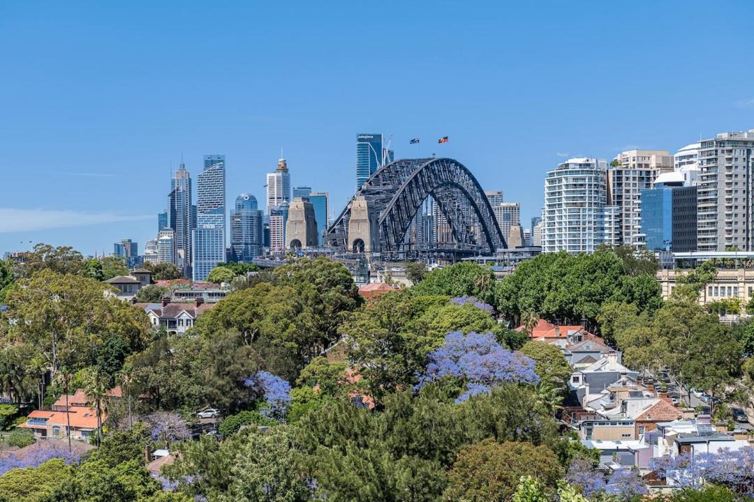 Photo of Others in North Sydney