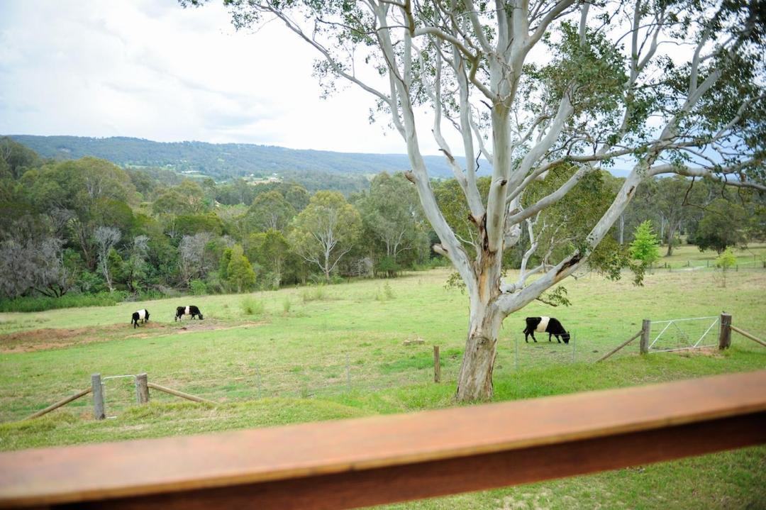 Photo of Others in Kurrajong