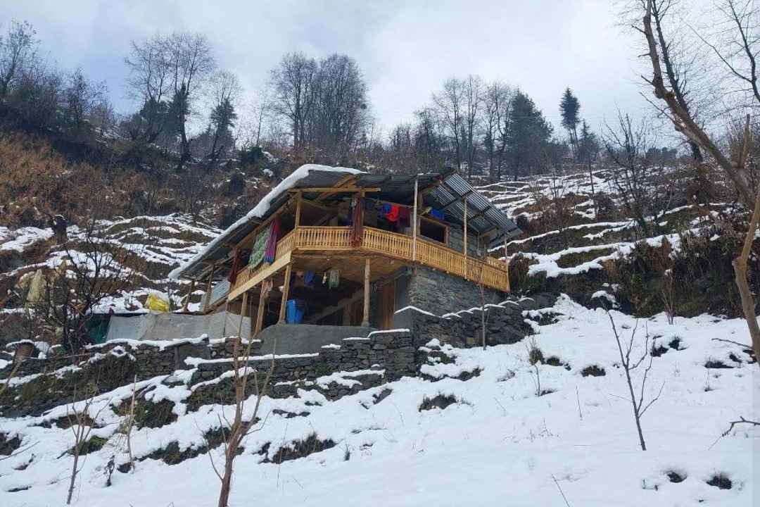Photo of Others in Manali