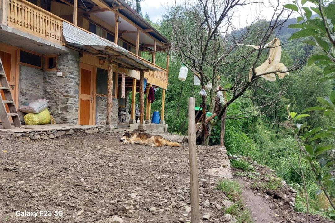 Photo of Others in Manali