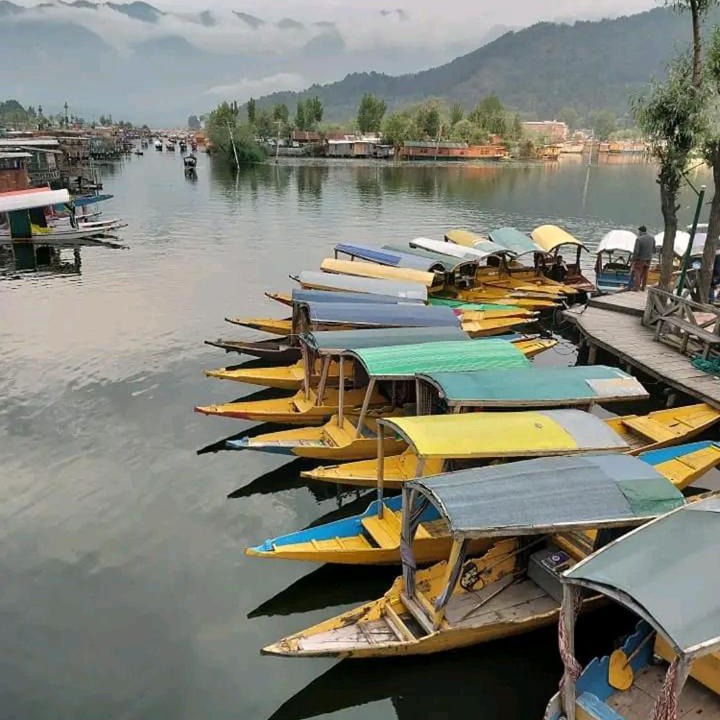 Photo of Others in Dal Lake