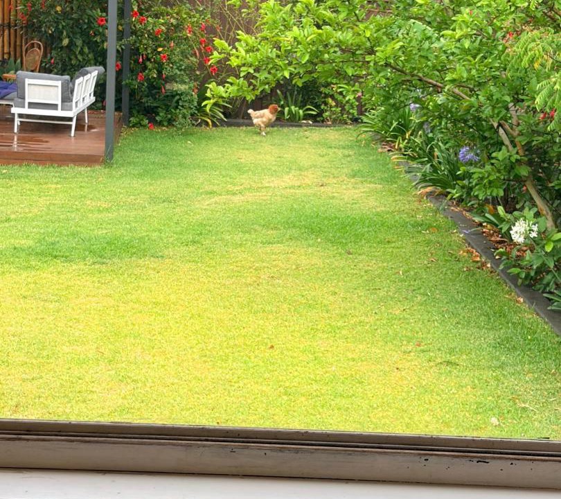 Photo of Others in Wentworthville